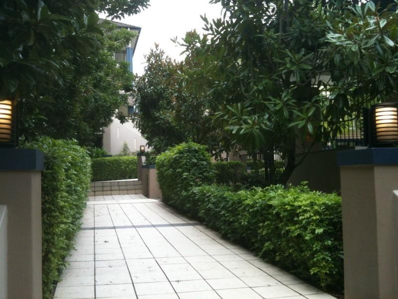 Unit 19/53 Warren Street, St Lucia QLD 4067