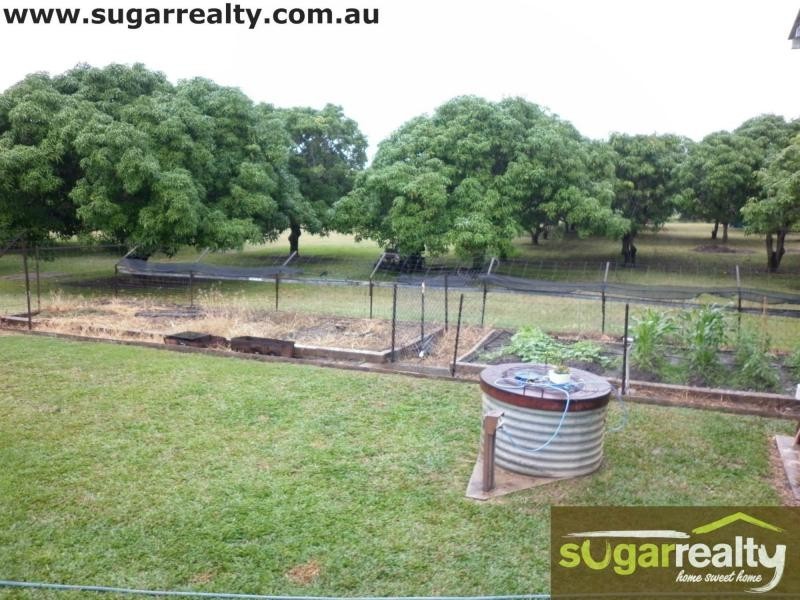 Jarvisfield QLD 4807