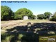 Ayr QLD 4807