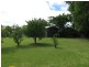 81 Banister Street, Brandon QLD 4808
