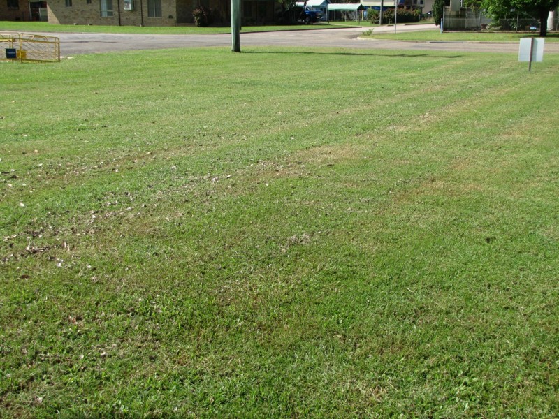 67 Mackenzie Street, Ayr QLD 4807