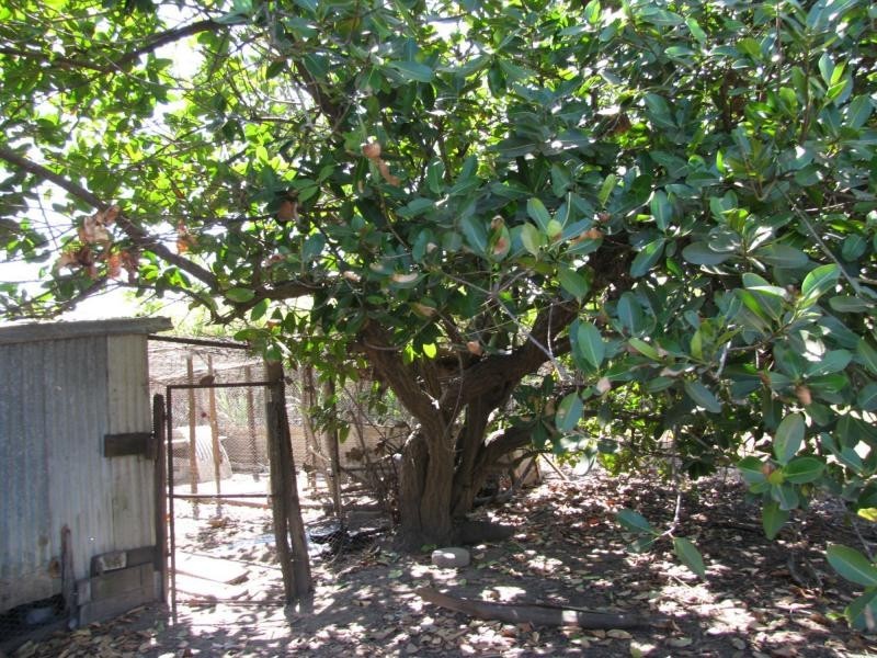 123 Berryman Road, Home Hill QLD 4806