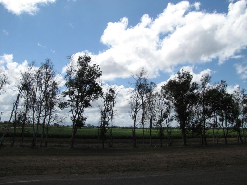 406 Old Clare Road, Mcdesme QLD 4807