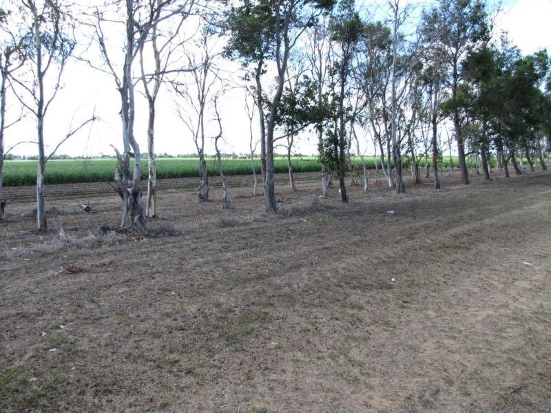 406 Old Clare Road, Mcdesme QLD 4807