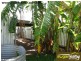 29 Laurence Crescent, Ayr QLD 4807