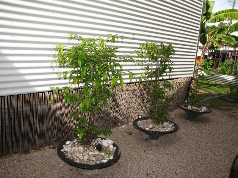 49-51 Topton Street, Alva QLD 4807