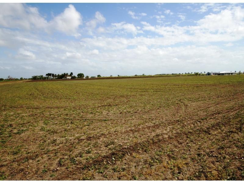 L107 Klondyke Road, Ayr QLD 4807