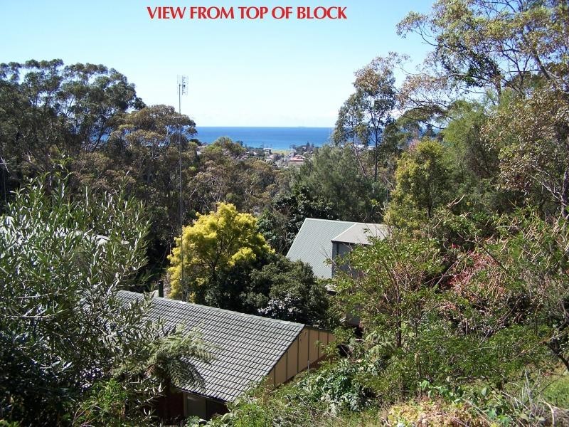 52 Hospital Road, Bulli NSW 2516