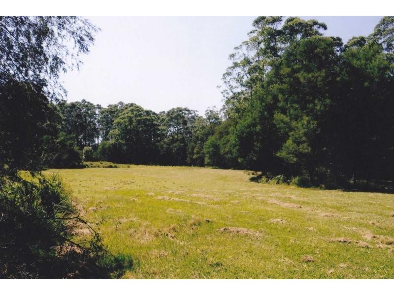 D2880B Princes Highway, Wandandian NSW 2540