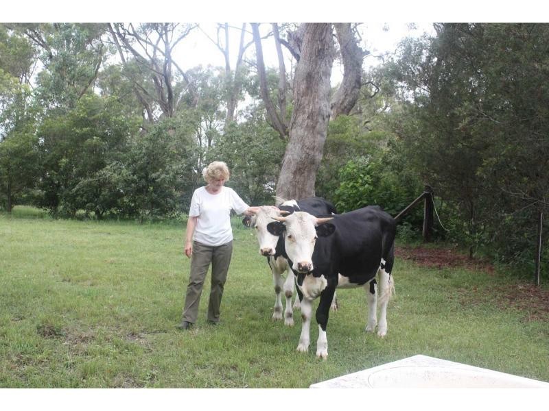 491 Wyndham Lane, Kanoona NSW 2550