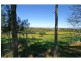 Blairmount NSW 2559