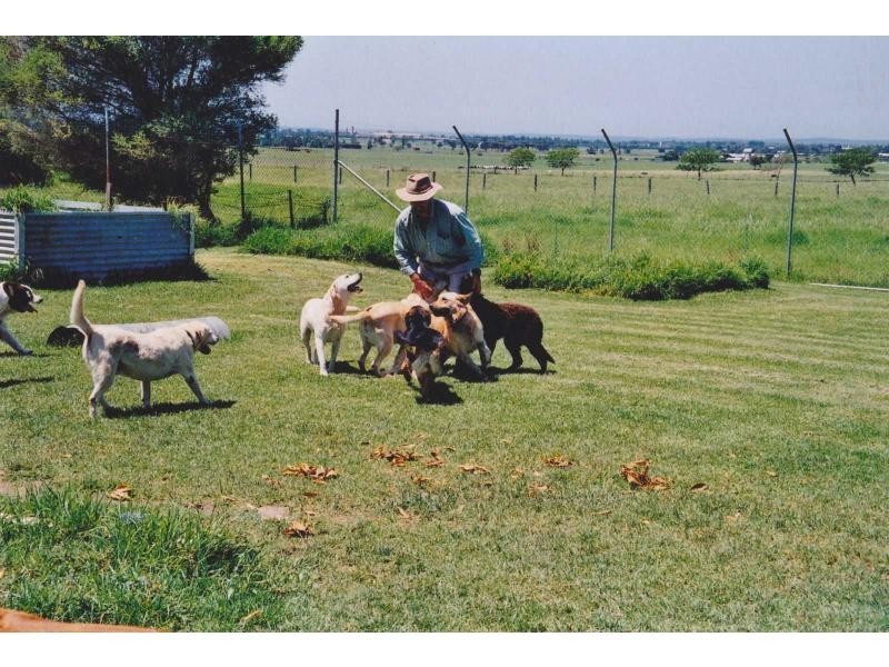 20 Lamonds Lane, Meroo Meadow NSW 2540