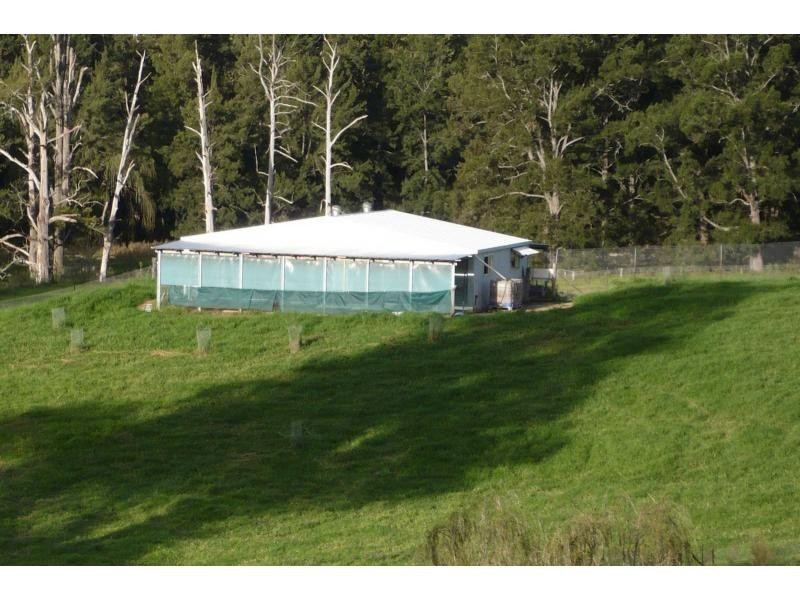 Lot 45 Warrigal Range Road, Brogo NSW 2550