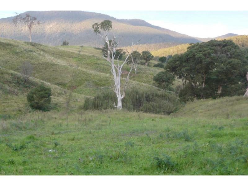 Lot 45 Warrigal Range Road, Brogo NSW 2550