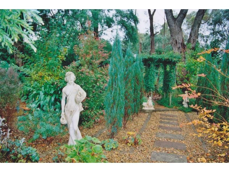 74 Boronia Road, Bullaburra NSW 2784