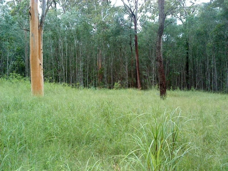 Lot 301/221 Iluka Road, Woombah NSW 2469