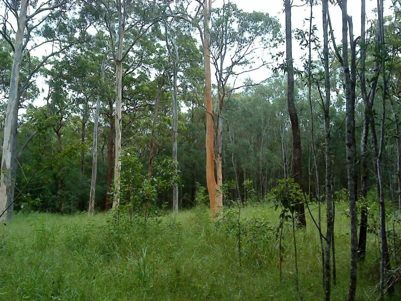 Lot 301/221 Iluka Road, Woombah NSW 2469