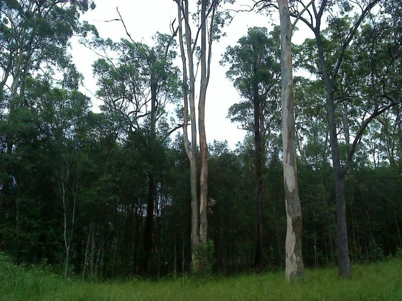 Lot 301/221 Iluka Road, Woombah NSW 2469