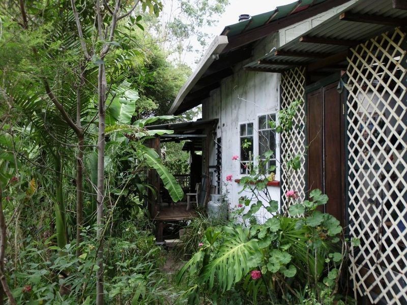 4505 Kylogle Road, Lillian Rock, Nimbin NSW 2480