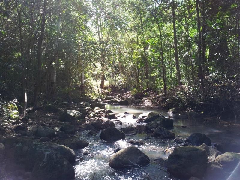 1356 Main Arm Road, Near Mullumbimby, Upper Main Arm NSW 2482