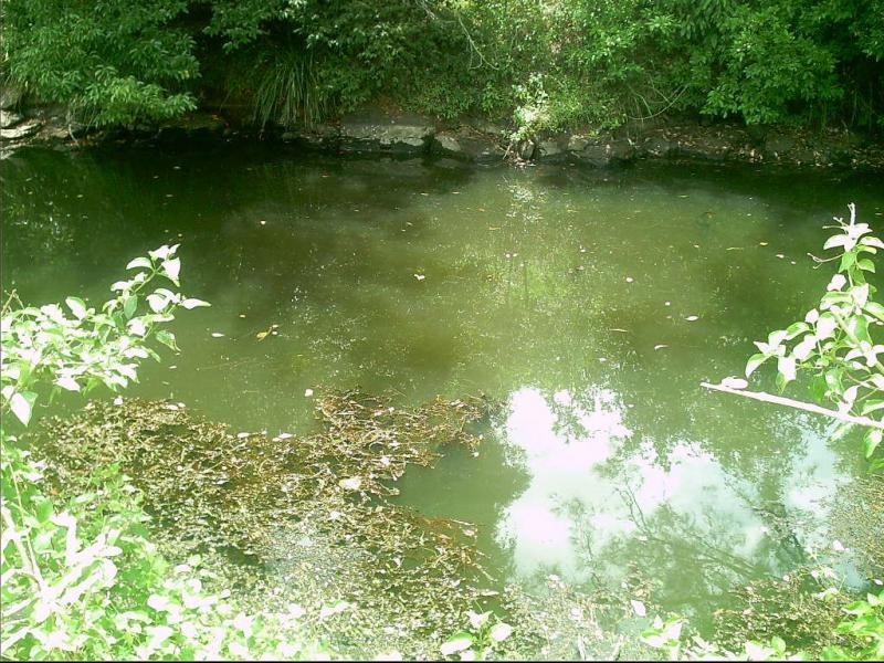 3 Oakey Creek Road, Jiggi Valley – Byron Bay Hinterland, Georgica NSW 2480