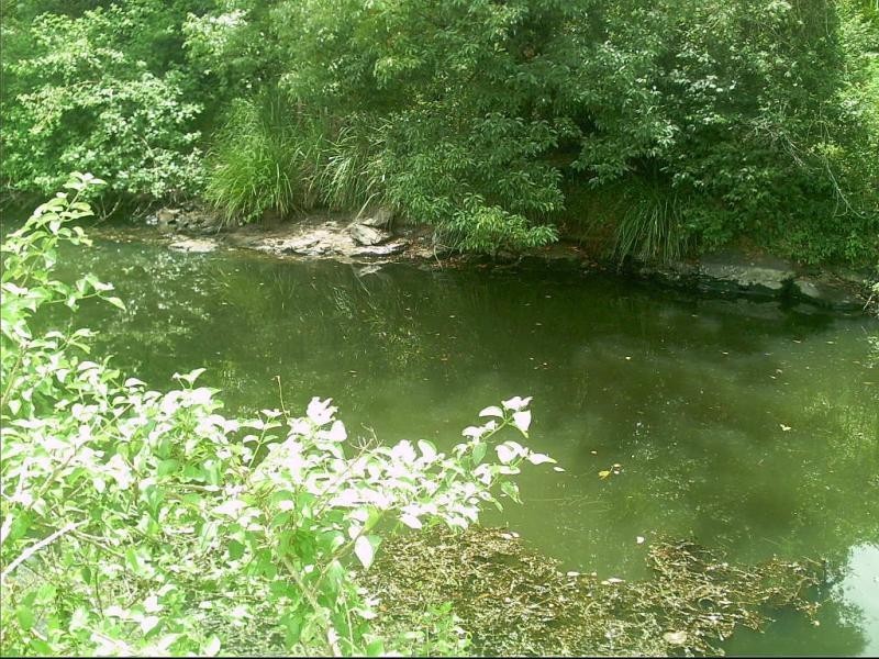 3 Oakey Creek Road, Jiggi Valley – Byron Bay Hinterland, Georgica NSW 2480