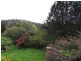565 Kellevie Road, Kellevie TAS 7176