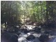 1356 Main Arm Road, Near Mullumbimby, Upper Main Arm NSW 2482