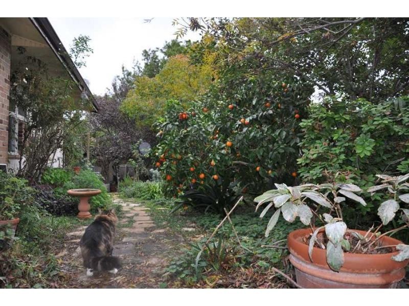143 Ardross Street, Ardross WA 6153