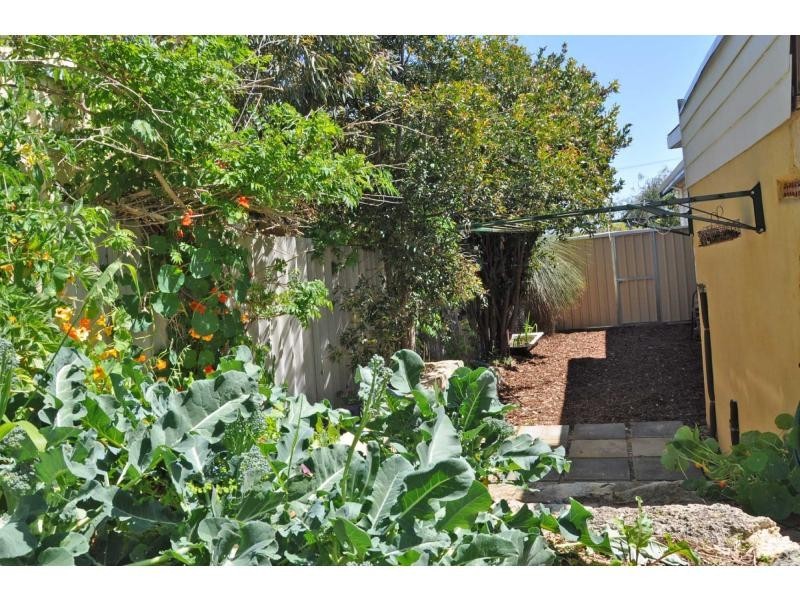 16 Howson Street, Hilton WA 6163