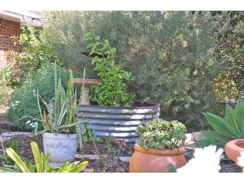 17 Goneril Way, Coolbellup WA 6163