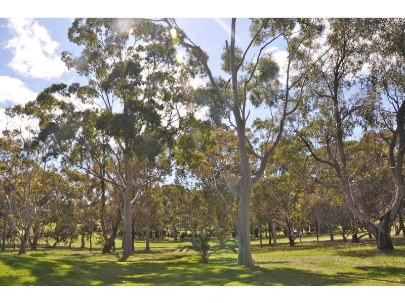 97 Stevens Street, White Gum Valley WA 6162