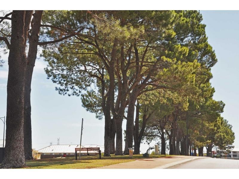 6 Angelica Way, Atwell WA 6164