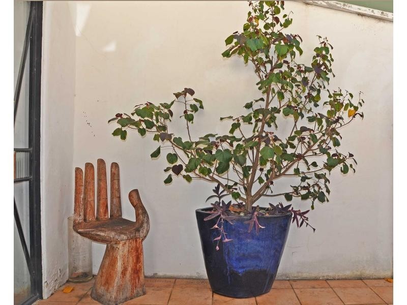 12-14 Wesley Street, South Fremantle WA 6162