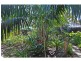 6 Pilbarra Street, White Gum Valley WA 6162