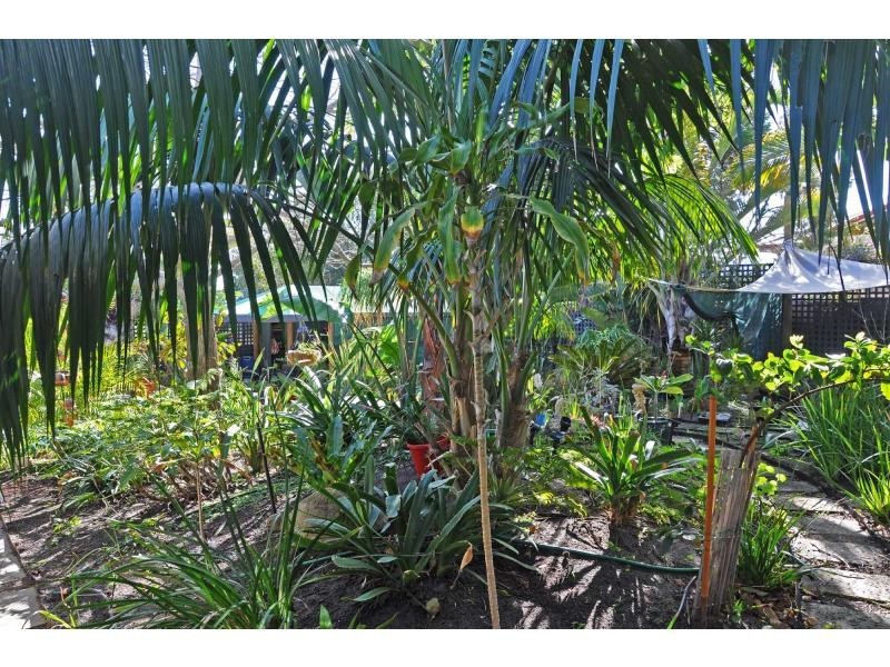 6 Pilbarra Street, White Gum Valley WA 6162