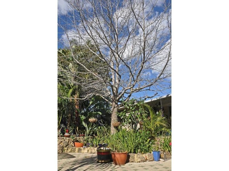 6 Pilbarra Street, White Gum Valley WA 6162