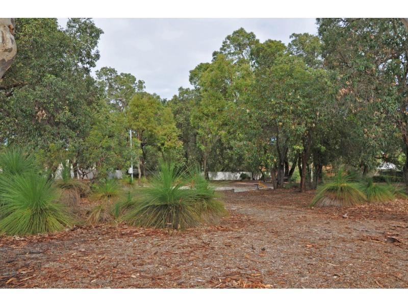 87D Solomon Street, Palmyra WA 6157