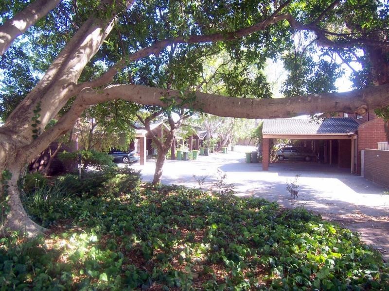 Unit 3/52 Samson Street, White Gum Valley WA 6162