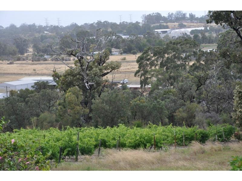 380 Wattleup Road, Hammond Park WA 6164