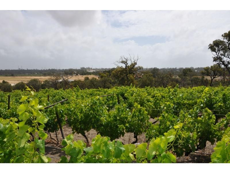 380 Wattleup Road, Hammond Park WA 6164