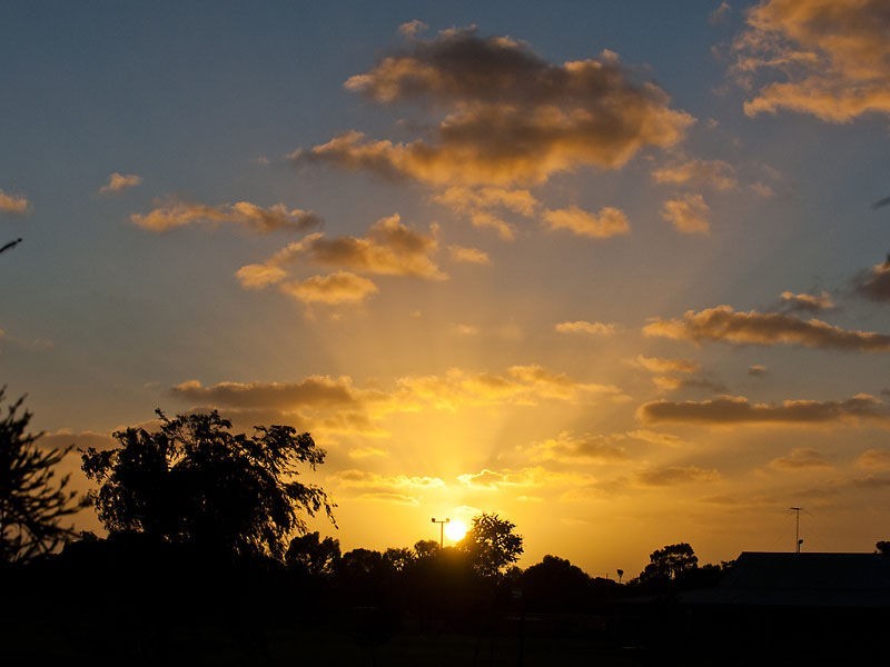 250 Carrington Street, Hilton WA 6163