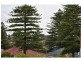 14 Darling Street, White Gum Valley WA 6162