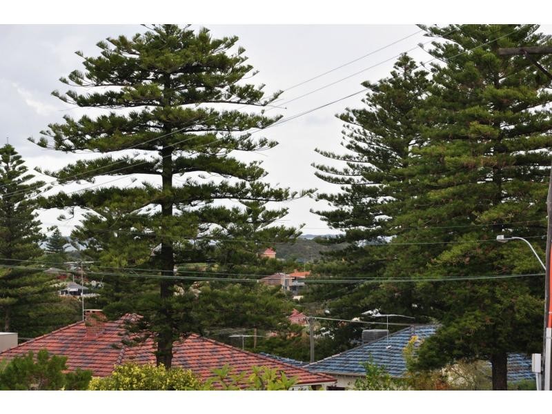 14 Darling Street, White Gum Valley WA 6162