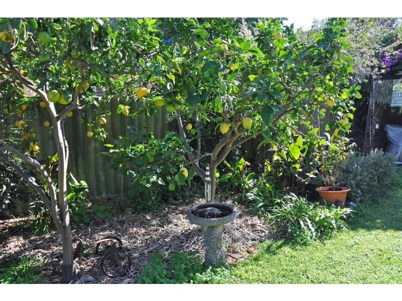 18 Elizabeth Street, White Gum Valley WA 6162