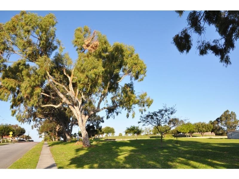 16a McGregor Road, Palmyra WA 6157