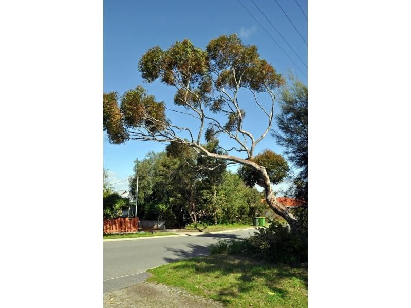 54 Snook Crescent, Hilton WA 6163