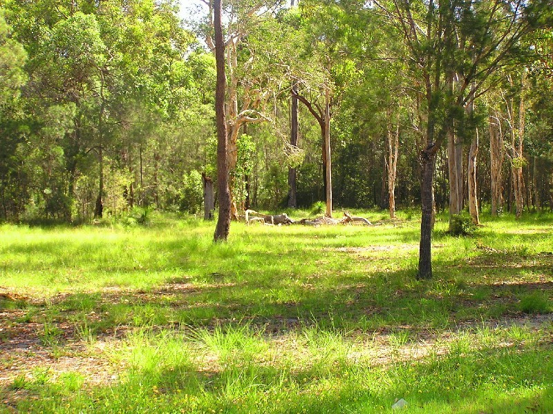 Lot 27 Coral Fern Drive, Noosa Country, Cooroibah QLD 4565