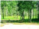 Lot 27 Coral Fern Drive, Noosa Country, Cooroibah QLD 4565