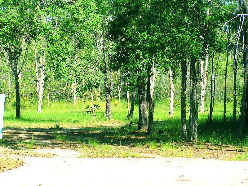 Lot 27 Coral Fern Drive, Noosa Country, Cooroibah QLD 4565
